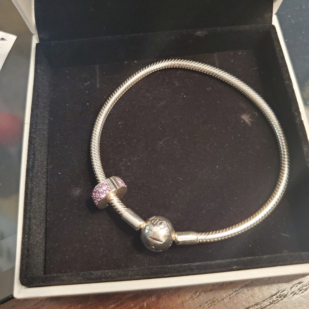 Panorda bracelet and charm